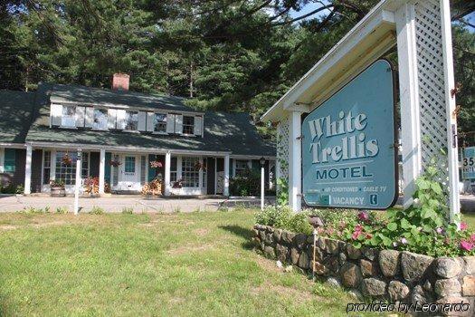 White Trellis Motel North Conway Eksteriør bilde